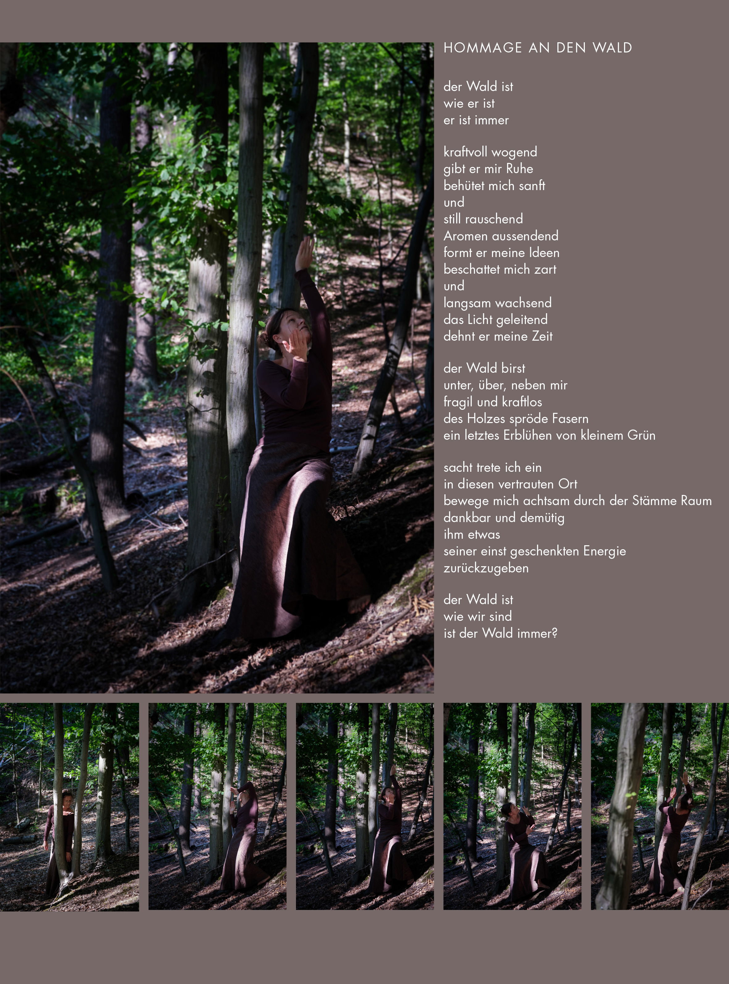 Hommage an den Wald
